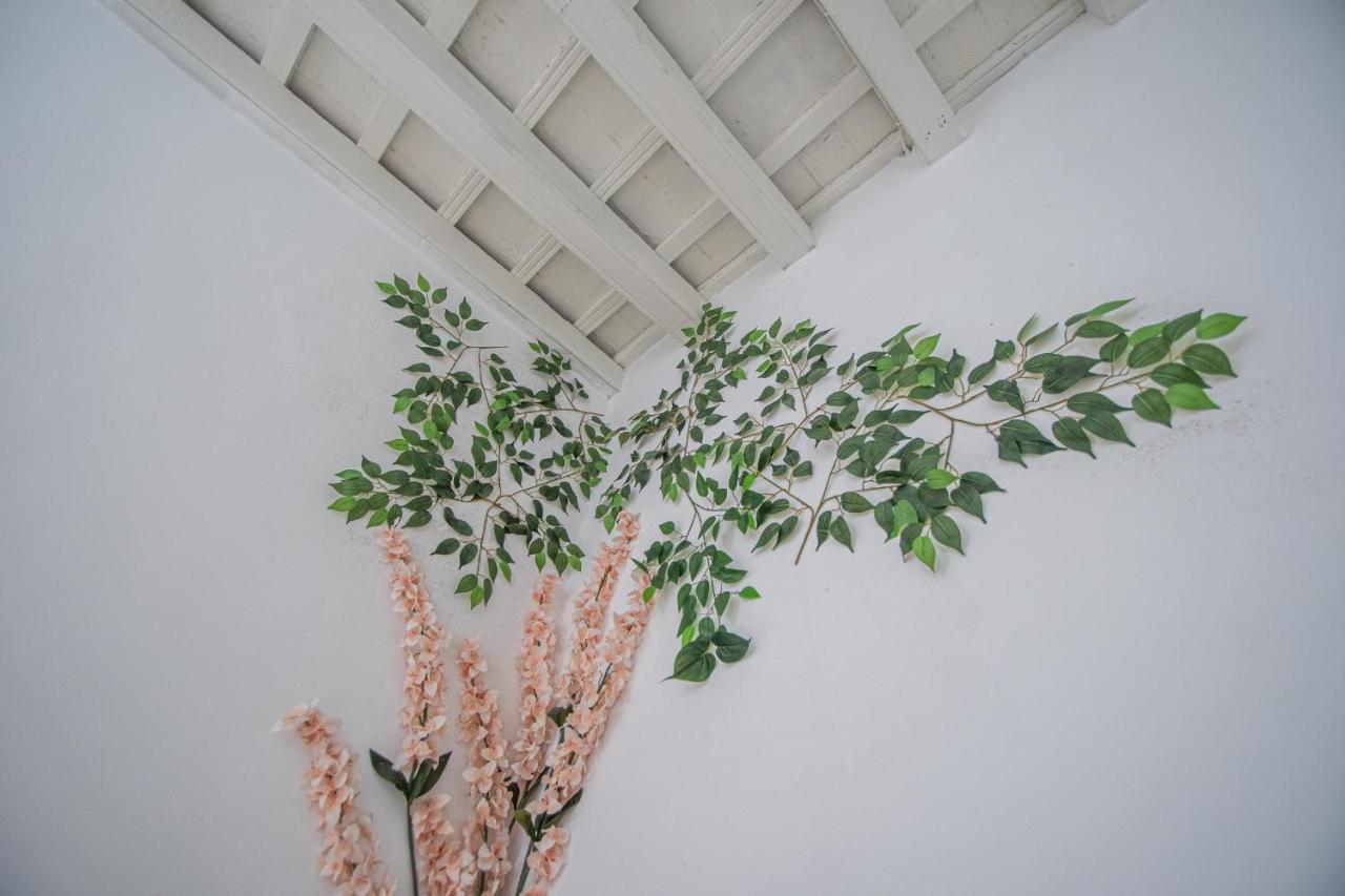 Apartamento El Cobijo De Cádiz Exteriér fotografie
